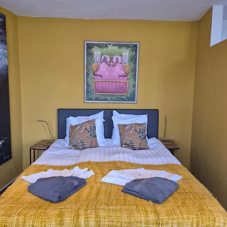 Amsterdam House * 잔드보르트