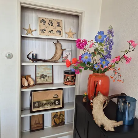 Apartment Aan Den Hogeweg *
