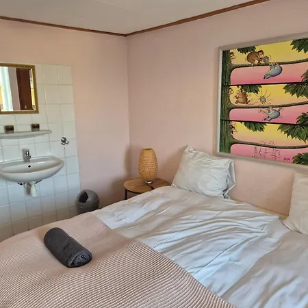 Amsterdam House * 잔드보르트