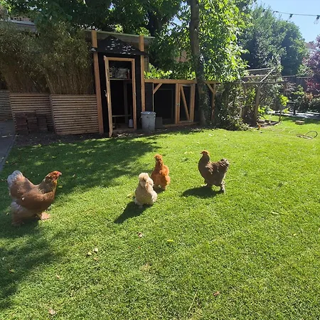 Aan Den Hogeweg Apartament *