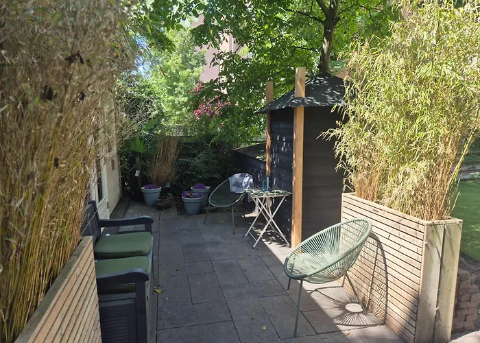 Amsterdam House 赞德沃特