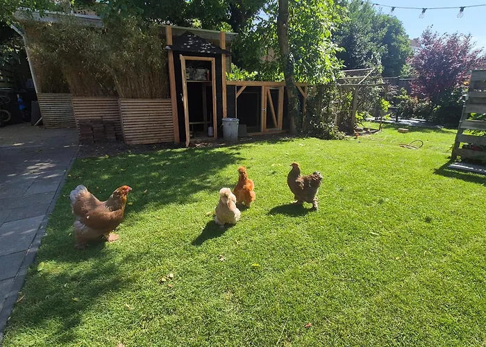 Amsterdam House 公寓 *