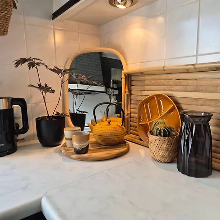 아파트 Amsterdam House 잔드보르트