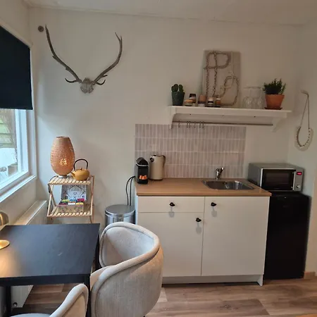 Amsterdam House * 잔드보르트