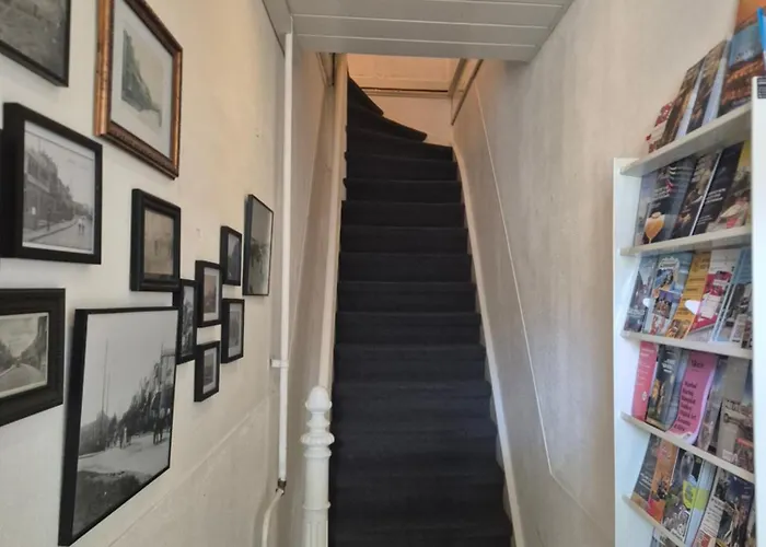 Amsterdam House * 잔드보르트