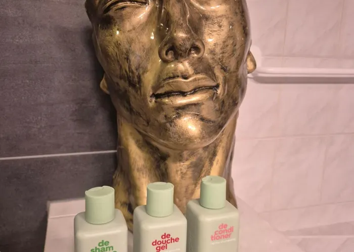 Amsterdam House 아파트 잔드보르트