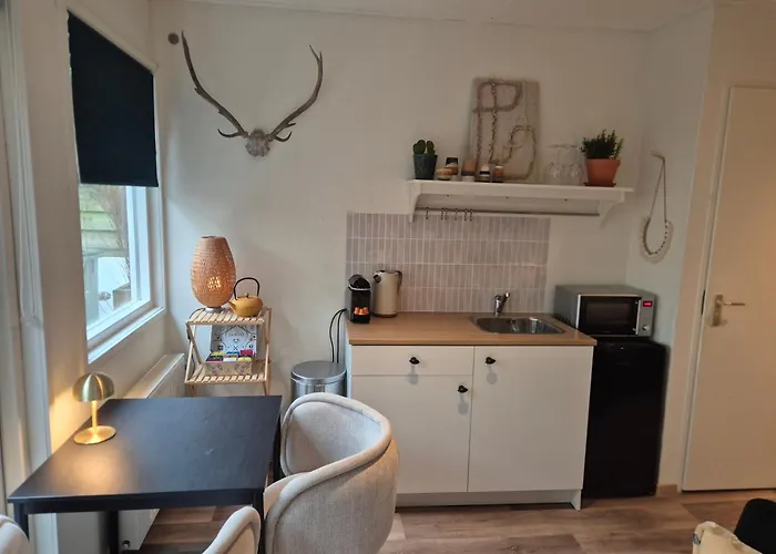 Amsterdam House * 잔드보르트